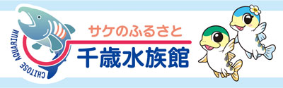 千歳水族館ホームページへ